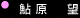 RQ Pits 「鮎原望」